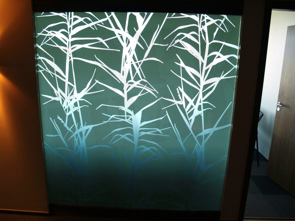 Kontori klaasseinte kiletamine, kaetud taimemustriga dekoratiivse mati klaasikilega, mis jätab läbi valguse, kuid varjab otsest vaadet